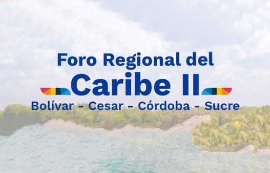 Imagen, Foro Regional Caribe 2