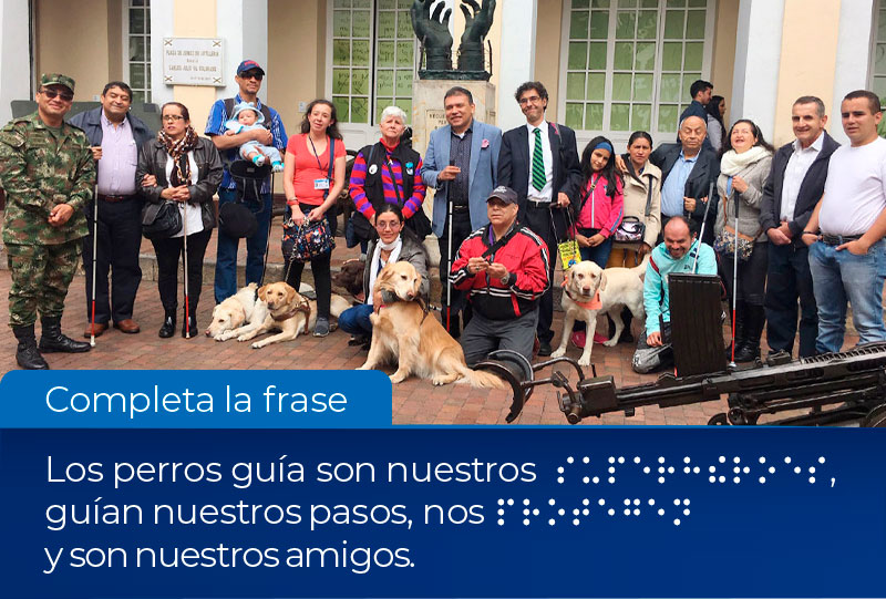 Fotografía, Grupo de personas con discapacidad visual junto a sus perros guía