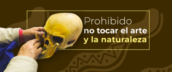 Imagen - Exposición Prohibido no tocar el arte y la naturaleza