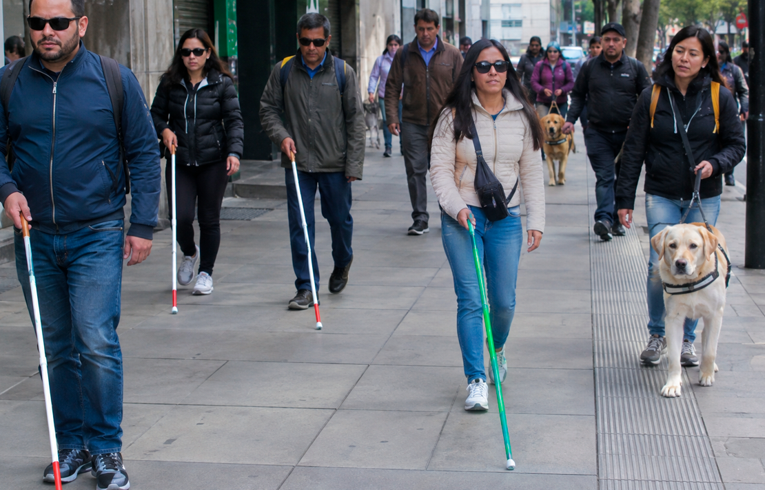 Grupo de personas con discapacidad visual se desplaza por una acera utilizando bastones blancos y perros guía, como expresión de autonomía y movilidad en el espacio público.