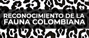 Imagen - Exposición "Reconocimiento Fauna Colombiana"