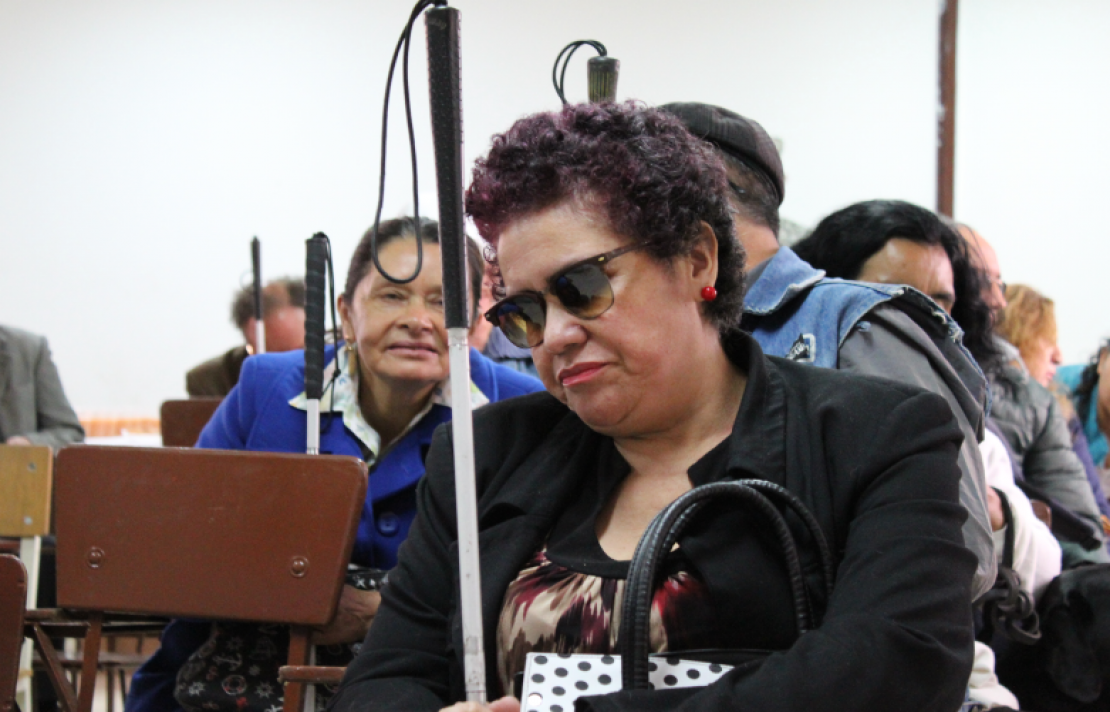 Personas con discapacidad visual atentos en una presentación