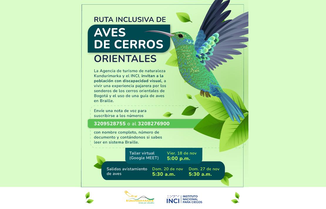 Imagen - Ruta inclusiva de aves de cerros orientales