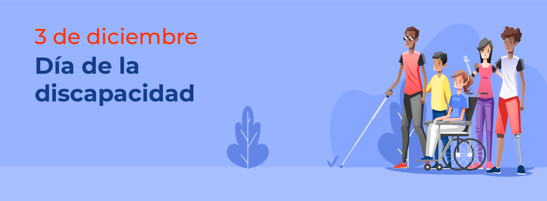 3 De diciembre - Día de la Discapacidad
