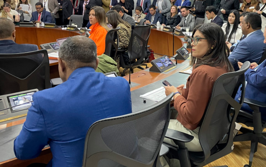 Andrea Carolina Chacón Castillo, directora general del INCI, participa en una sesión de seguimiento a la Ley 2297 de 2023 en el Congreso de la República, junto a representantes de diferentes entidades.
