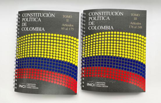 Fotografía, constitución del 91 en braille