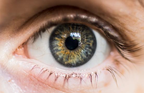 Fotografía, Primer plano de un Ojo humano