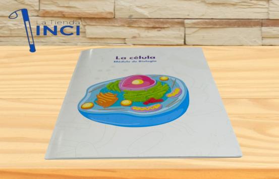 la_celula_tinta_braille