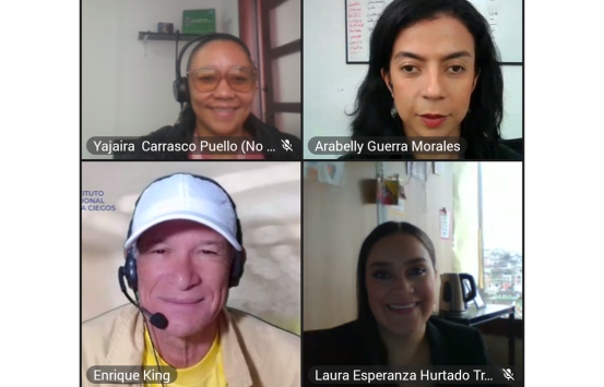 Captura de pantalla de la reunión llevada a cabo por varios funcionarios del INCI, y funcionarios de diferentes entidades públicas de la ciudad de Manizales