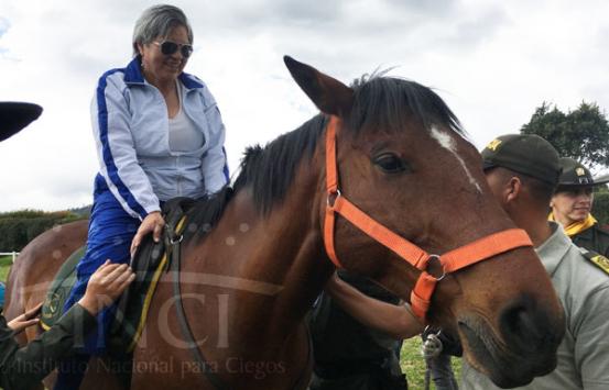 Personas ciegas junto a caballos